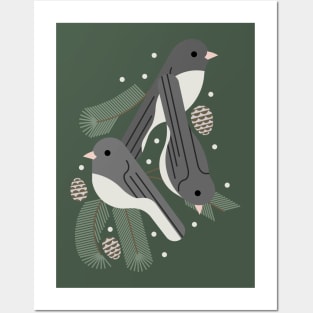 Winter Junco Posters and Art